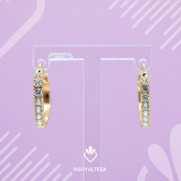 Arracadas pin